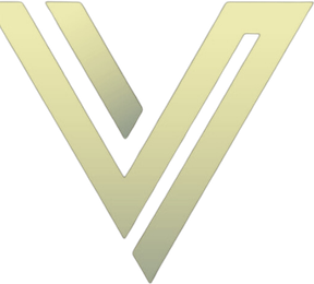 Viking Health Co. logo